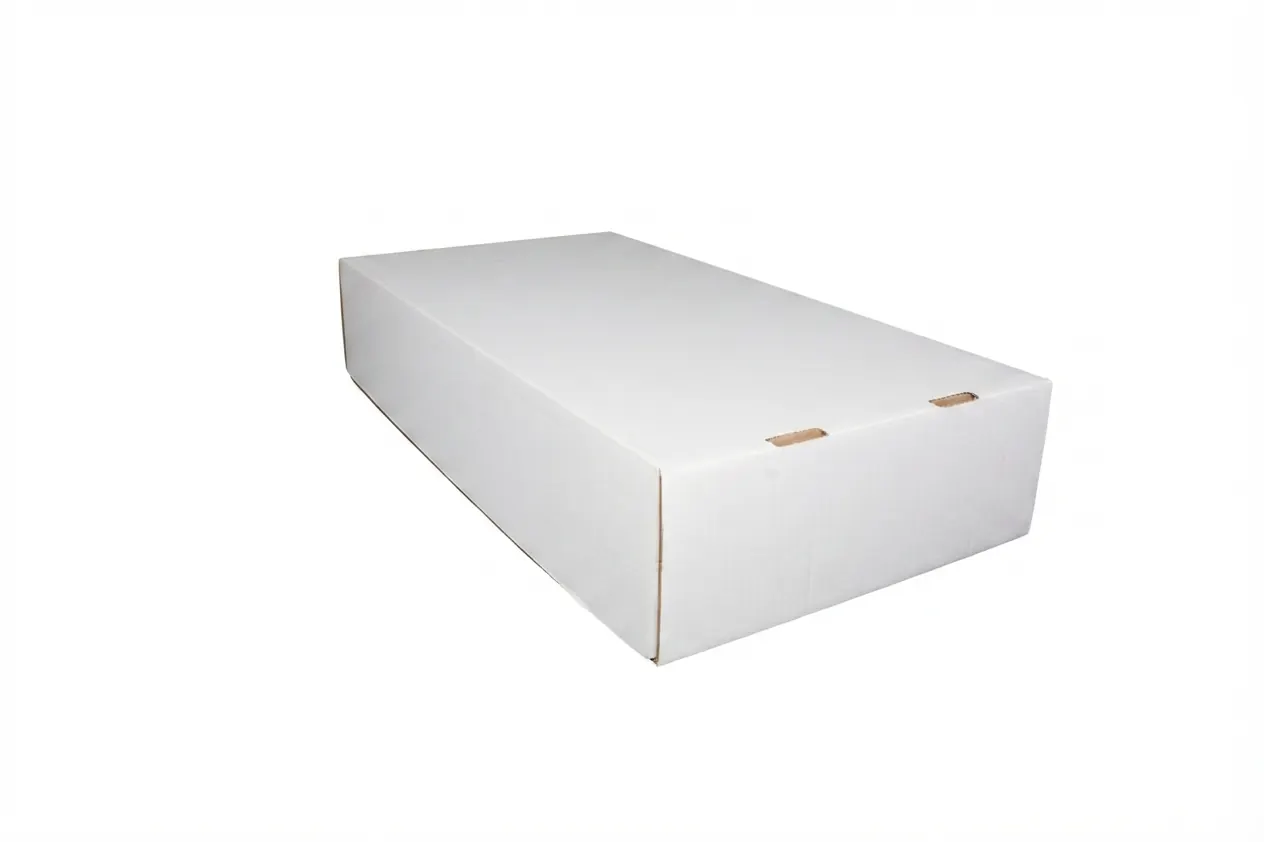 20 KG TAPA AA