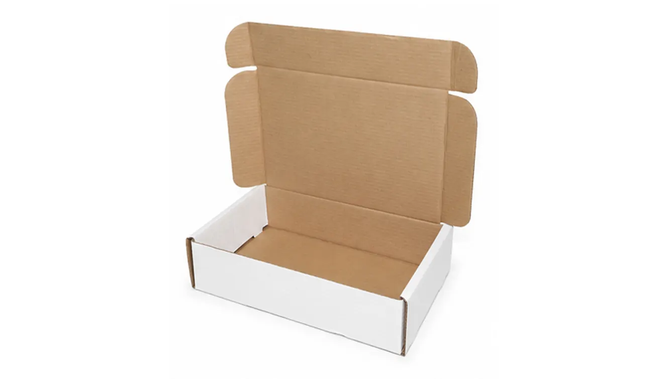 5 KG CAJA BLANCA ESTUCHE AA