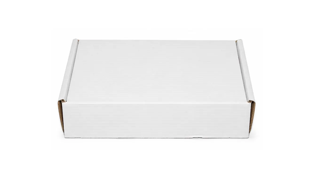 5 KG CAJA BLANCA ESTUCHE AA — imagen 2