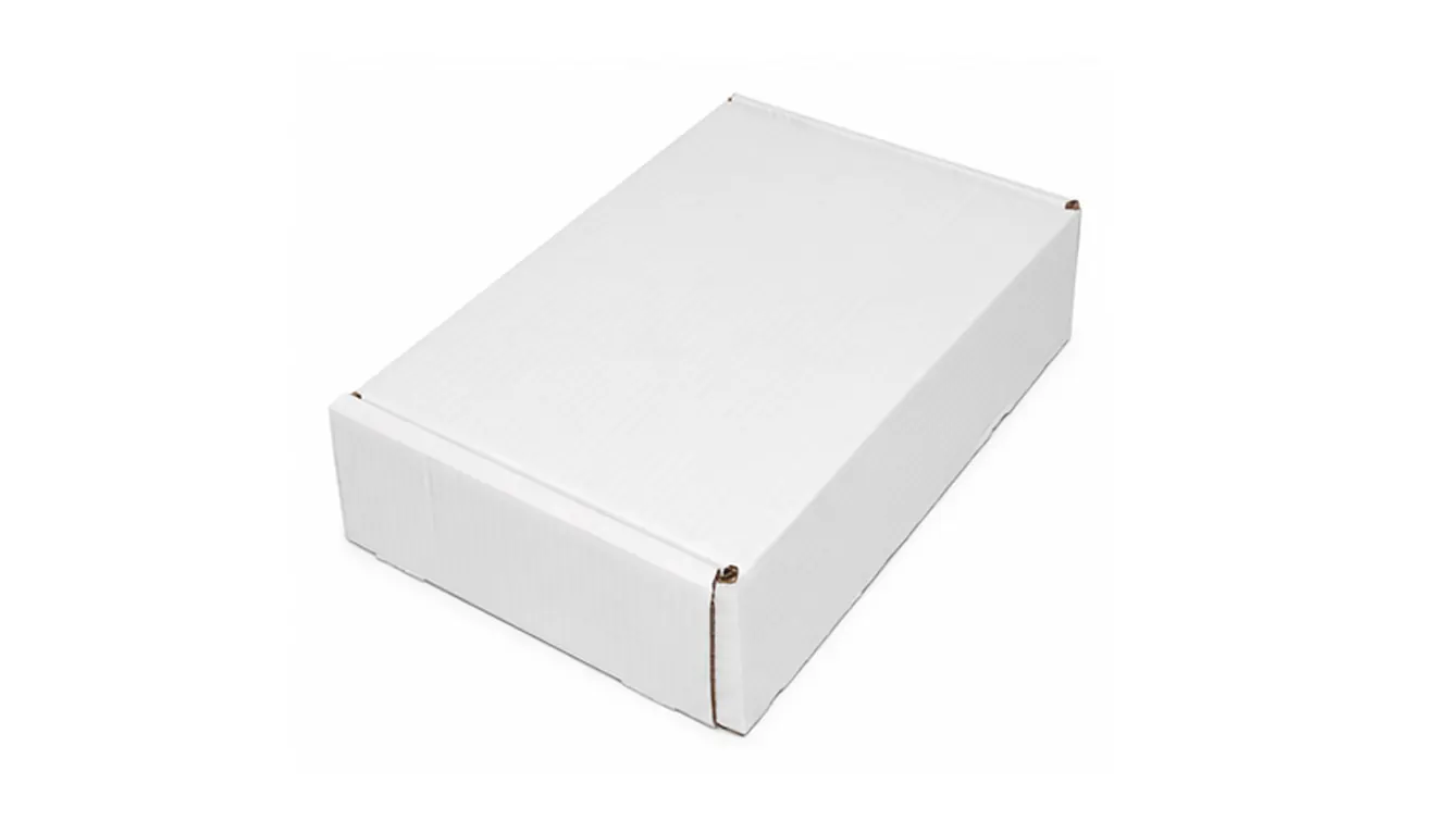 5 KG CAJA BLANCA ESTUCHE AA — imagen 3