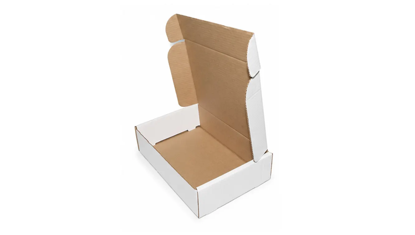 5 KG CAJA BLANCA ESTUCHE AA — imagen 4