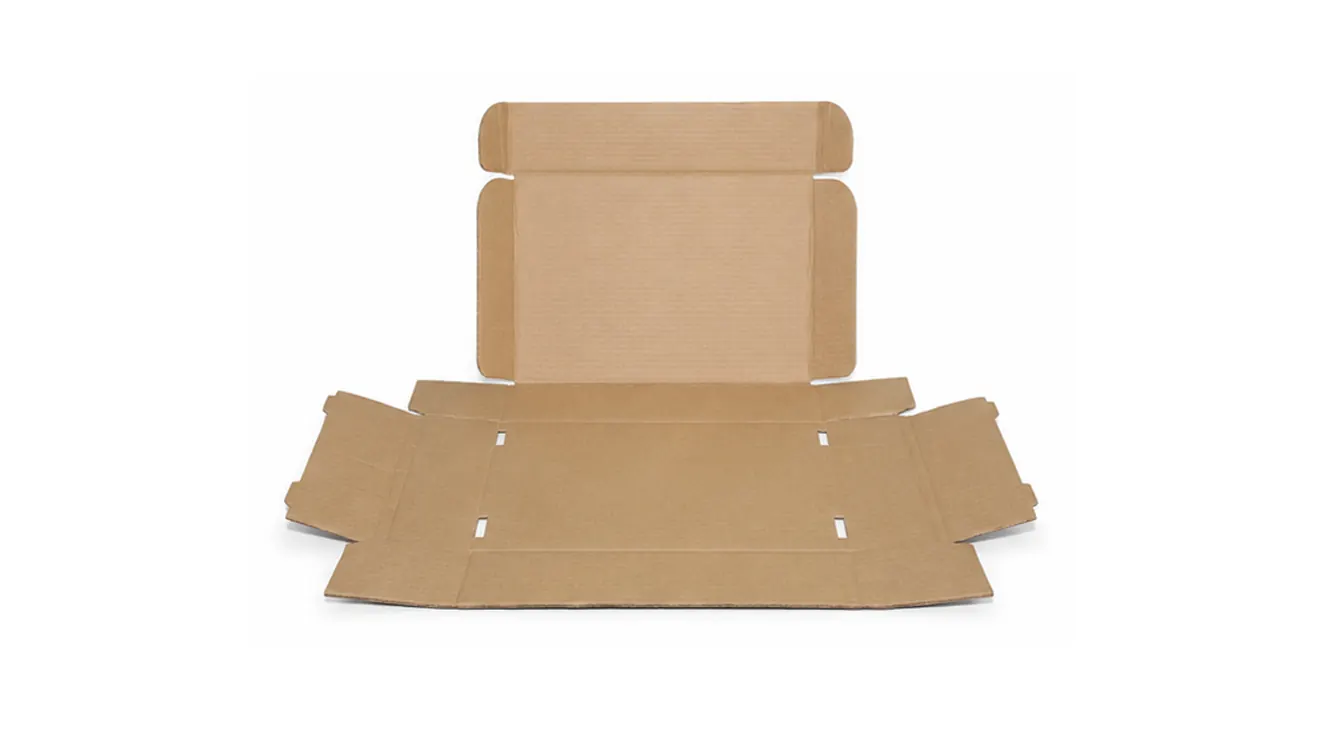 5 KG CAJA BLANCA ESTUCHE AA — imagen 5