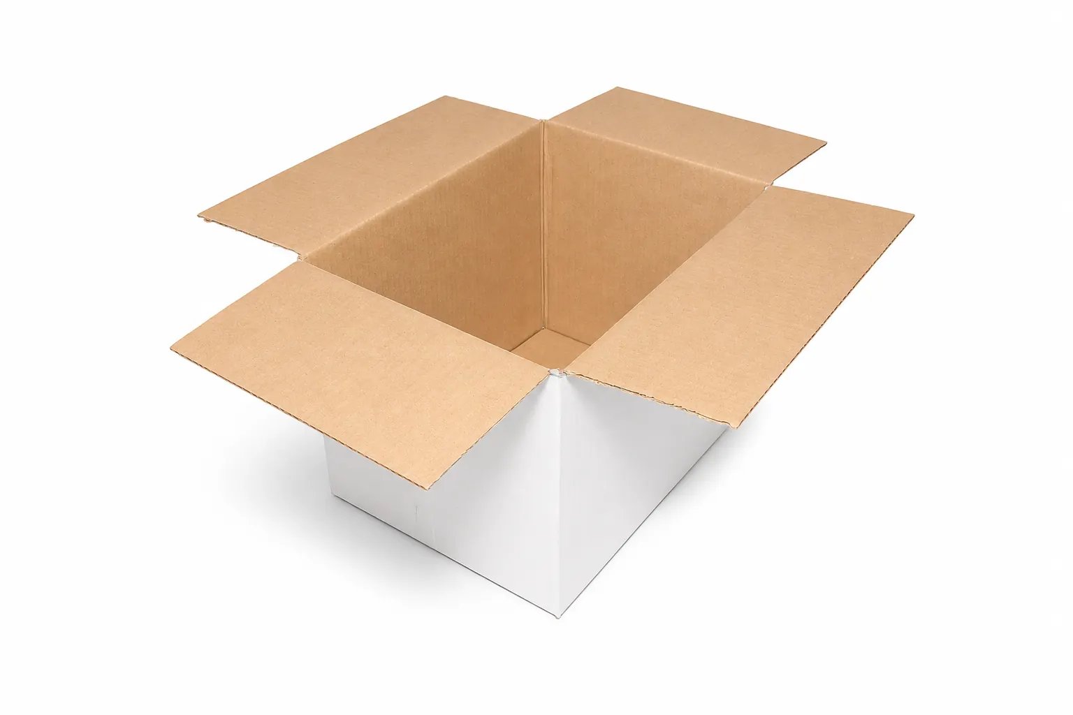 CAJA BLANCA RO 425 305 X 230 X 225 — imagen 2