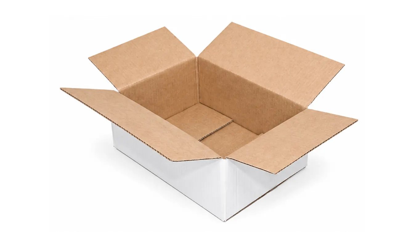 10 LIBRAS CAJA BLANCA 360X260X150