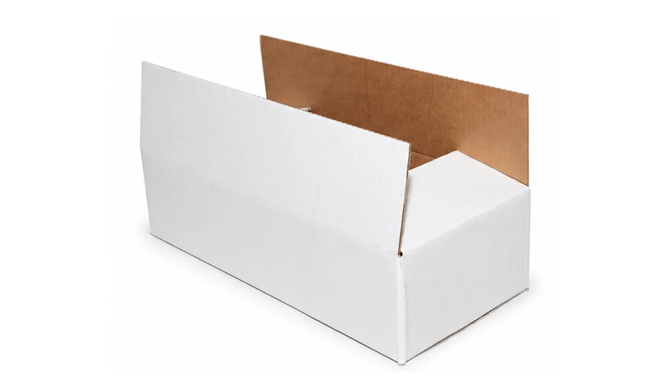 3 KG CAJA ERIZO S/IMP 490x230x127 — imagen 2