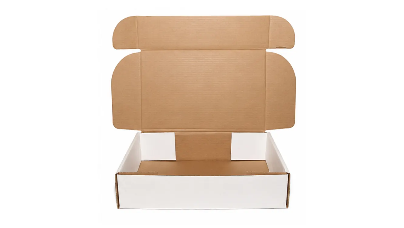 10 KG CAJA BLANCA ESTUCHE AA — imagen 2