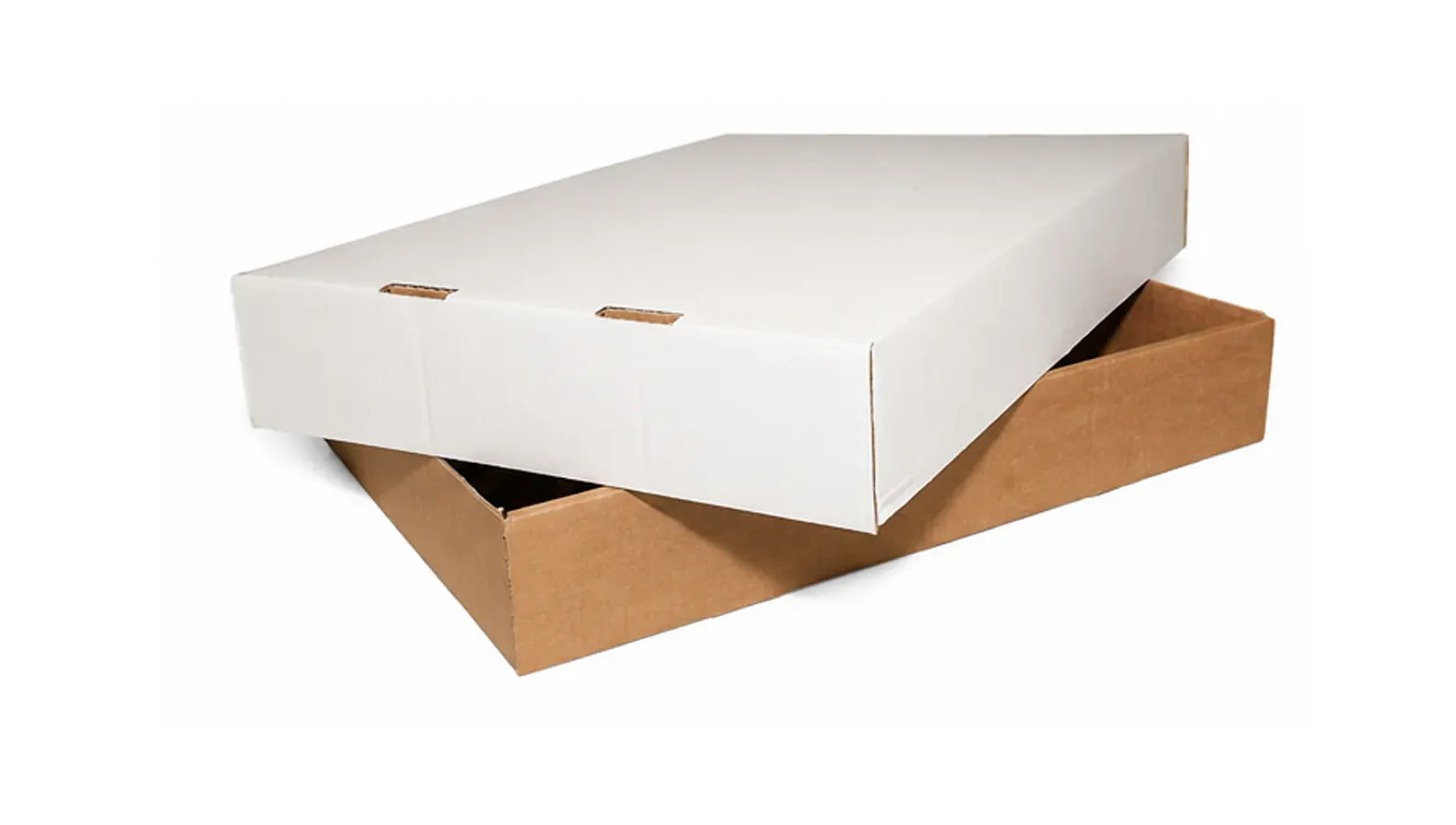 10 KG TAPA AA