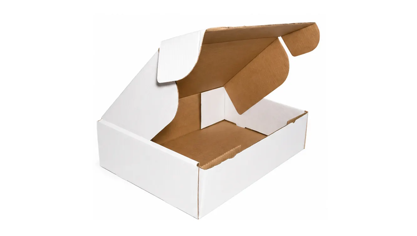 15 KG CAJA BLANCA ESTUCHE AA