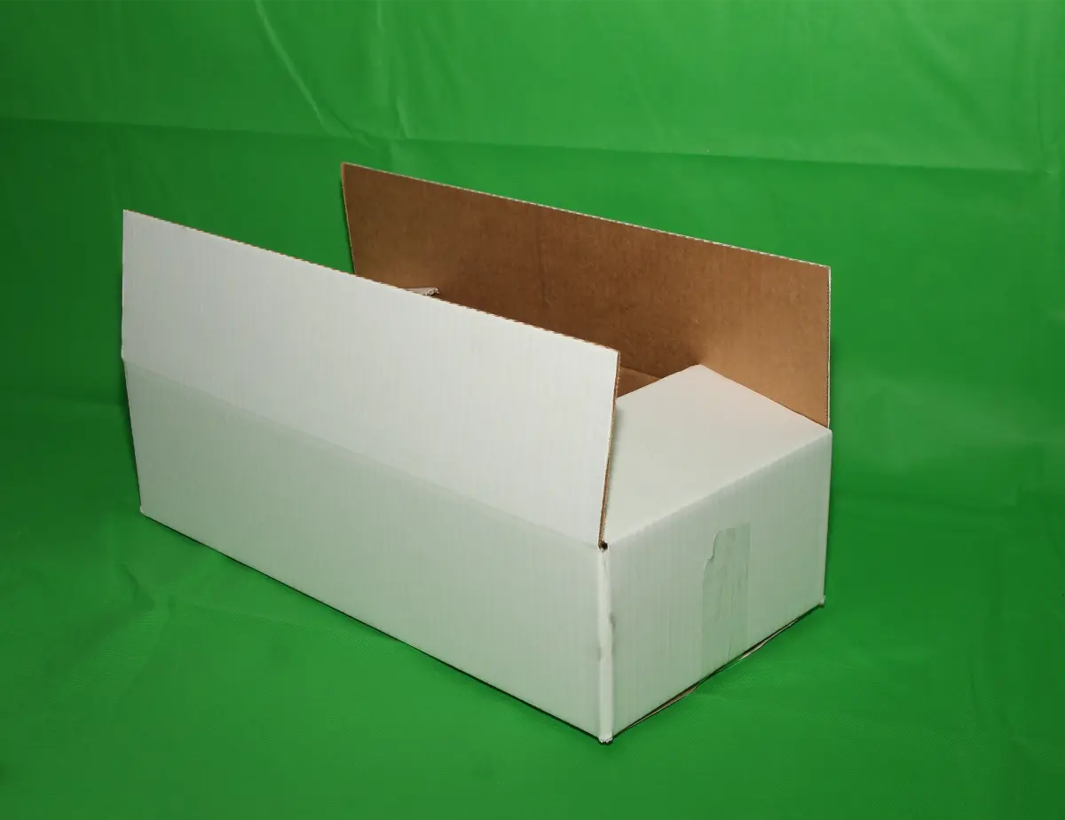 Caja Erizo 3 KG S/IMP — imagen 5