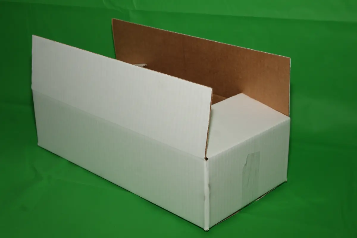 Caja Erizo 3 KG S/IMP — imagen 6