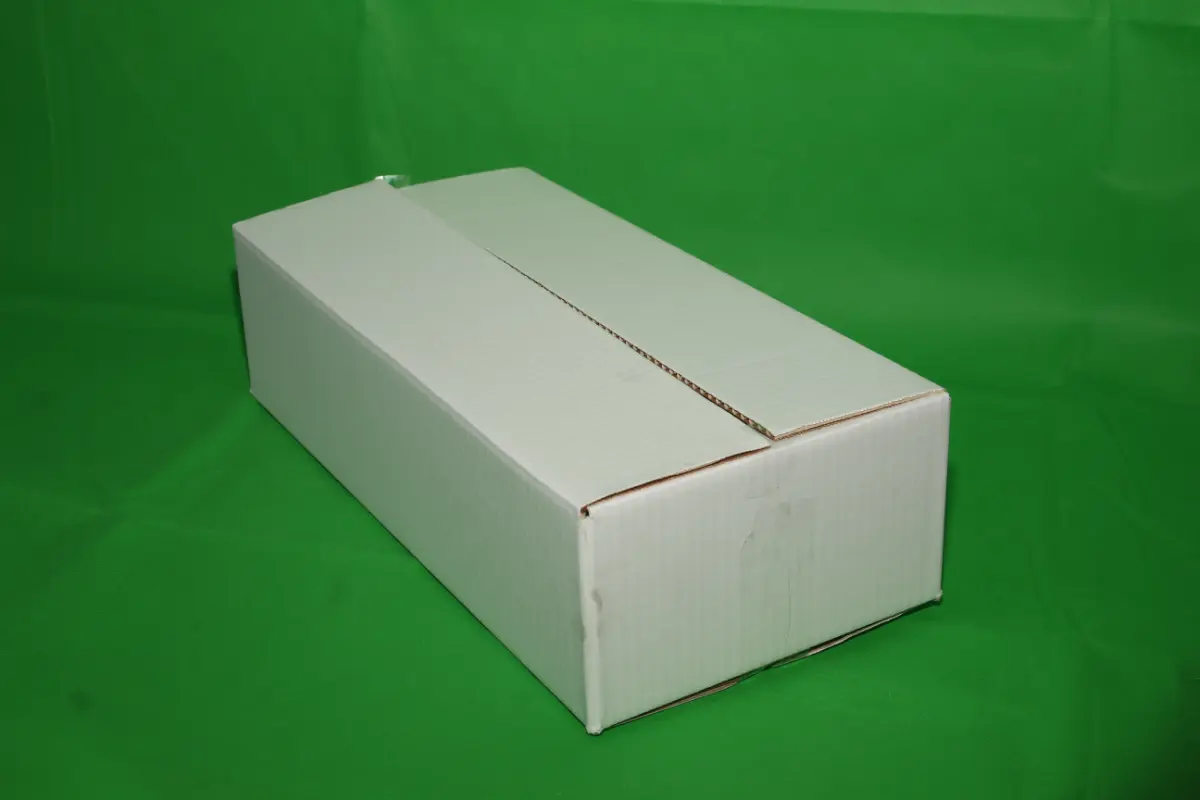 Caja Erizo 3 KG S/IMP — imagen 2