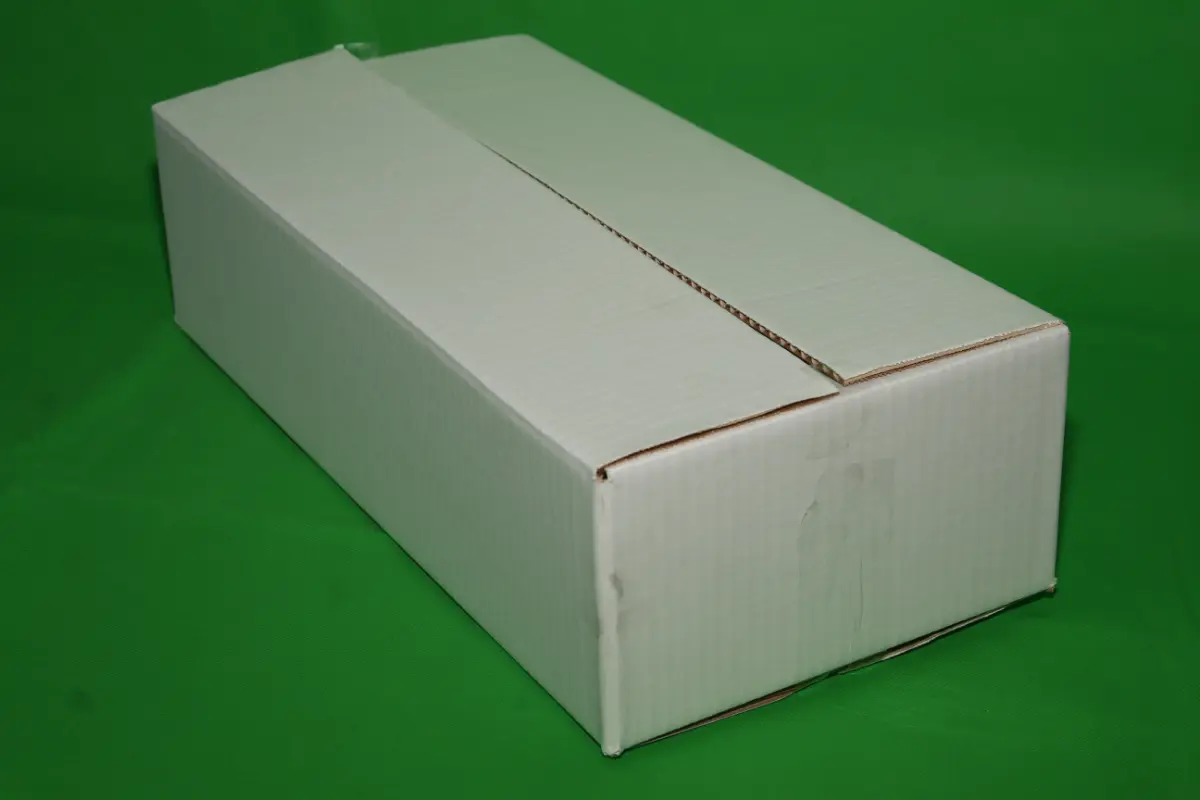Caja Erizo 3 KG S/IMP — imagen 3