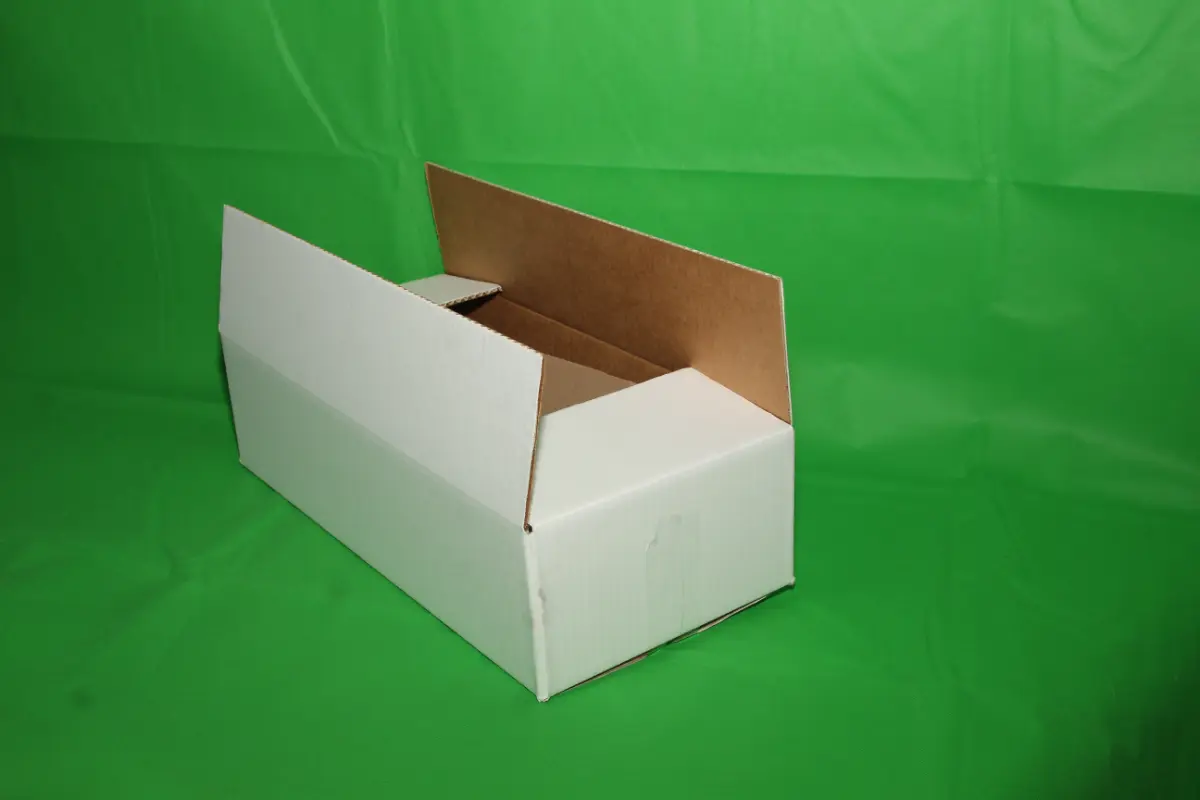 Caja Erizo 3 KG S/IMP — imagen 4