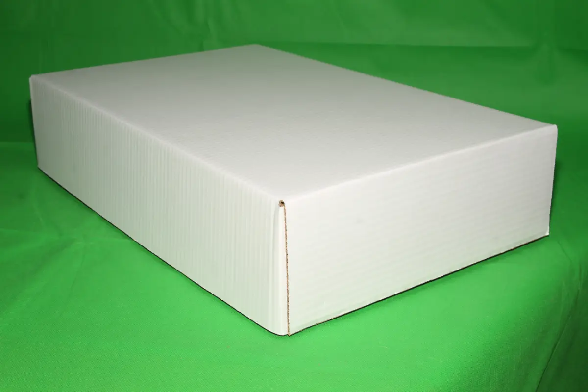 Tapa Armada en Máquina 10 KG