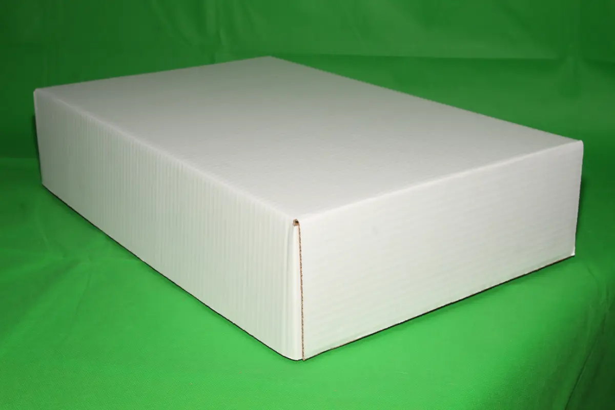 Tapa Armada en Máquina 10 KG — imagen 2