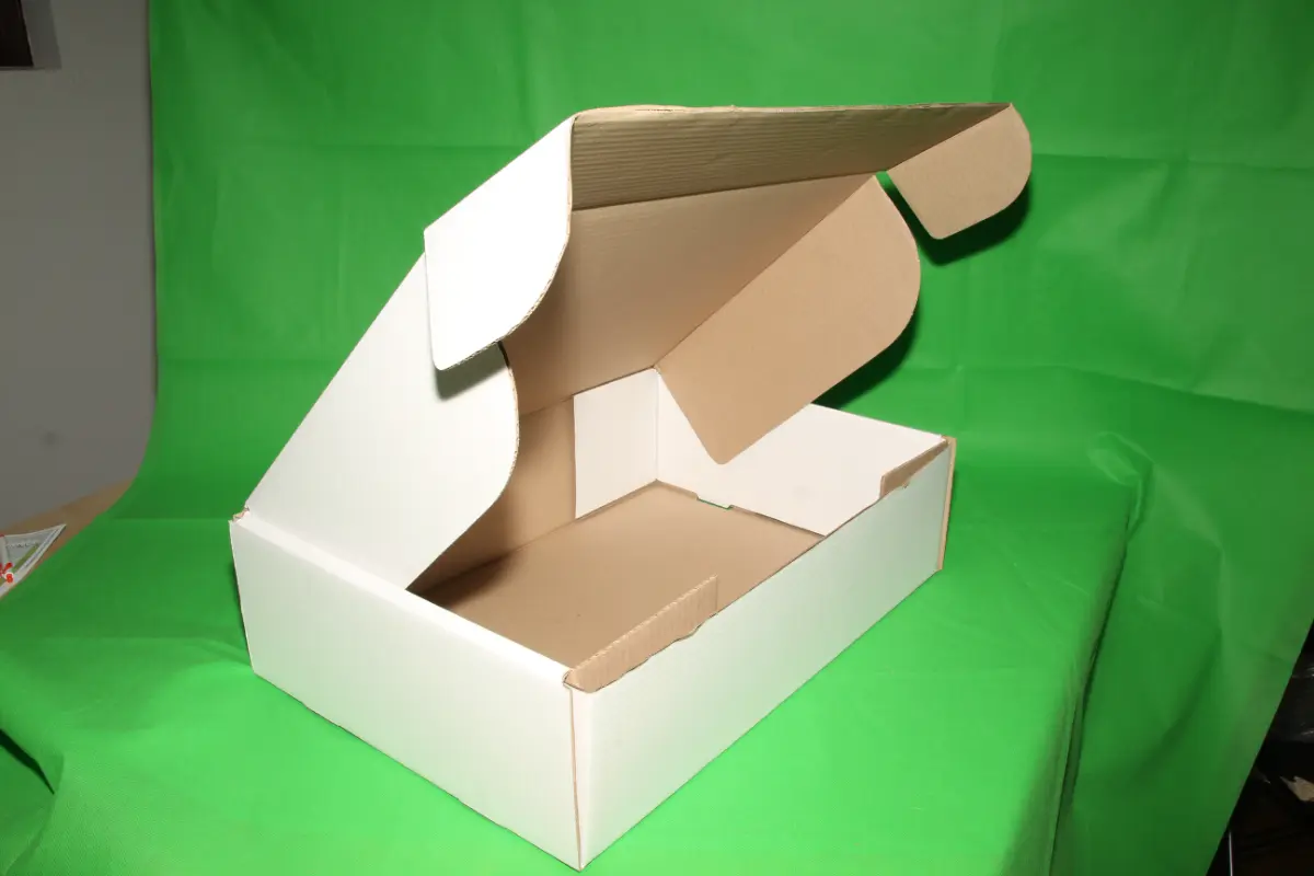 Caja Estuche Blanca 15 KG AA — imagen 3