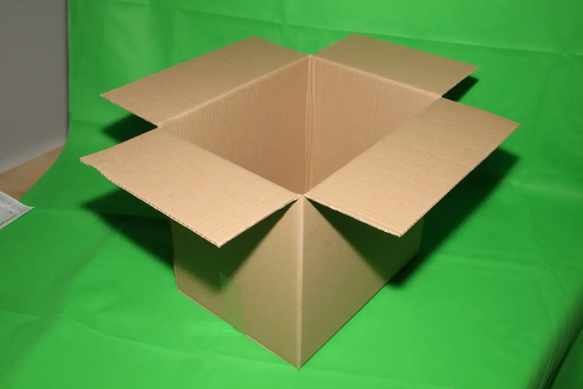 Caja Mercadería 20 KG — imagen 2
