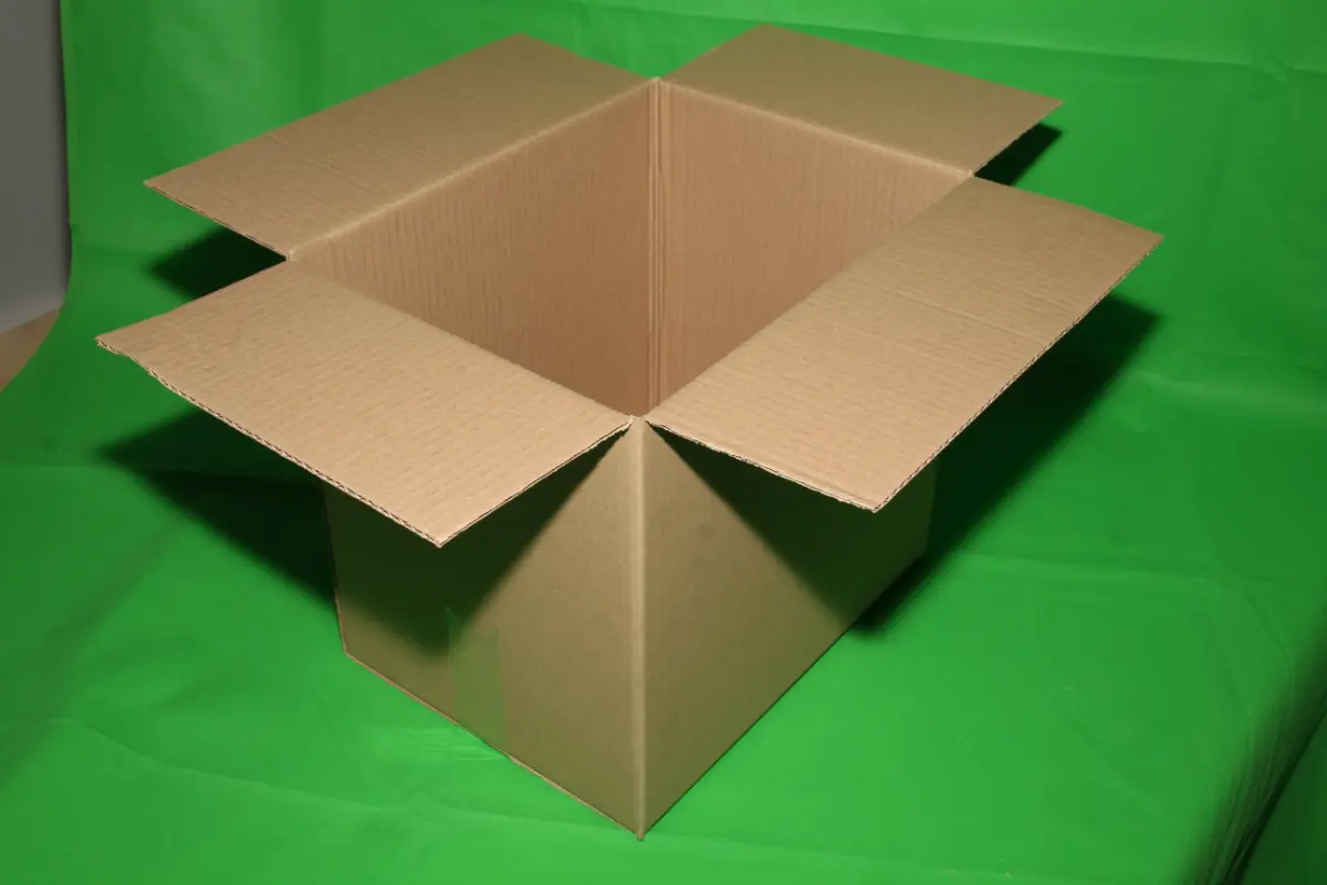 Caja Mercadería 20 KG — imagen 3