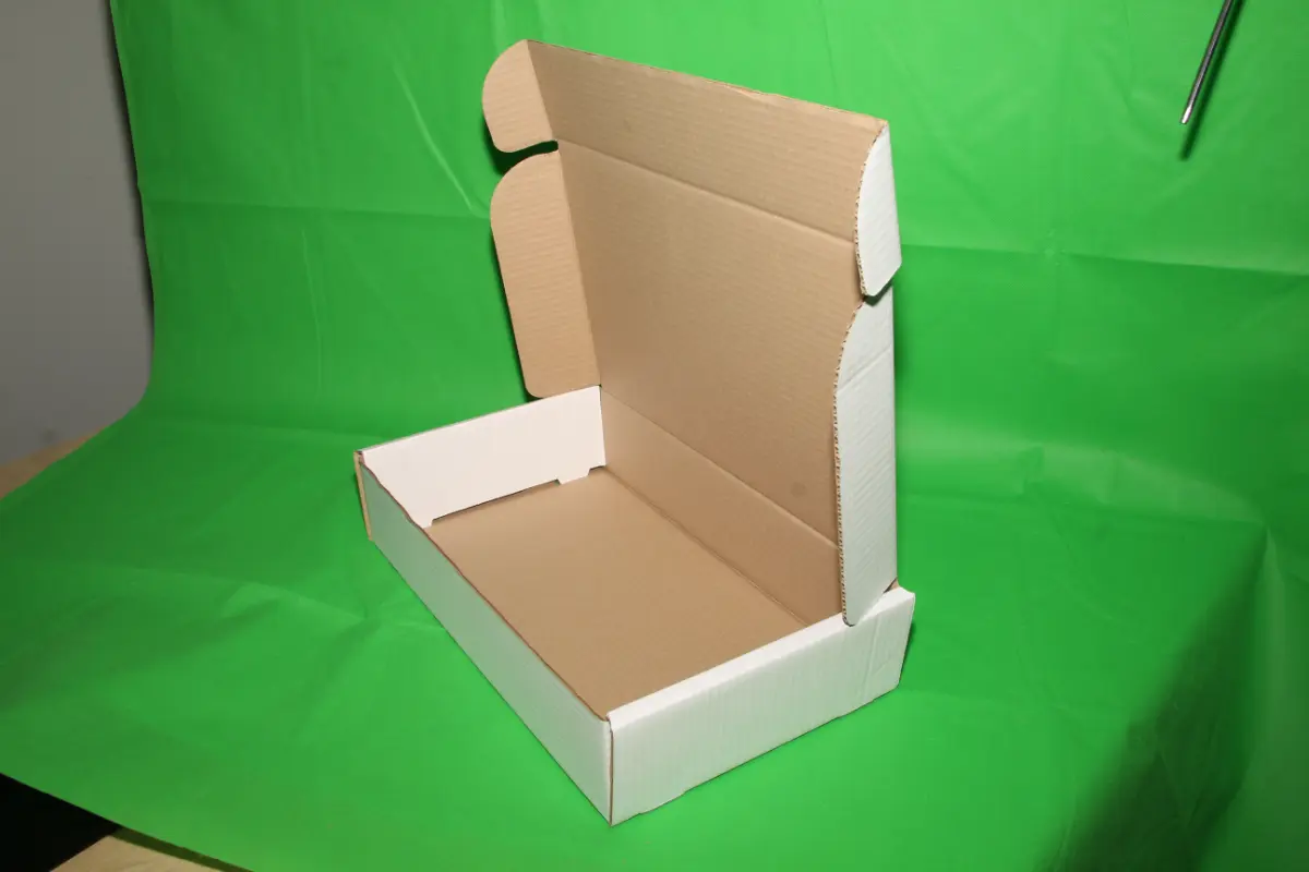 Caja Estuche Blanca 5 KG AA — imagen 6