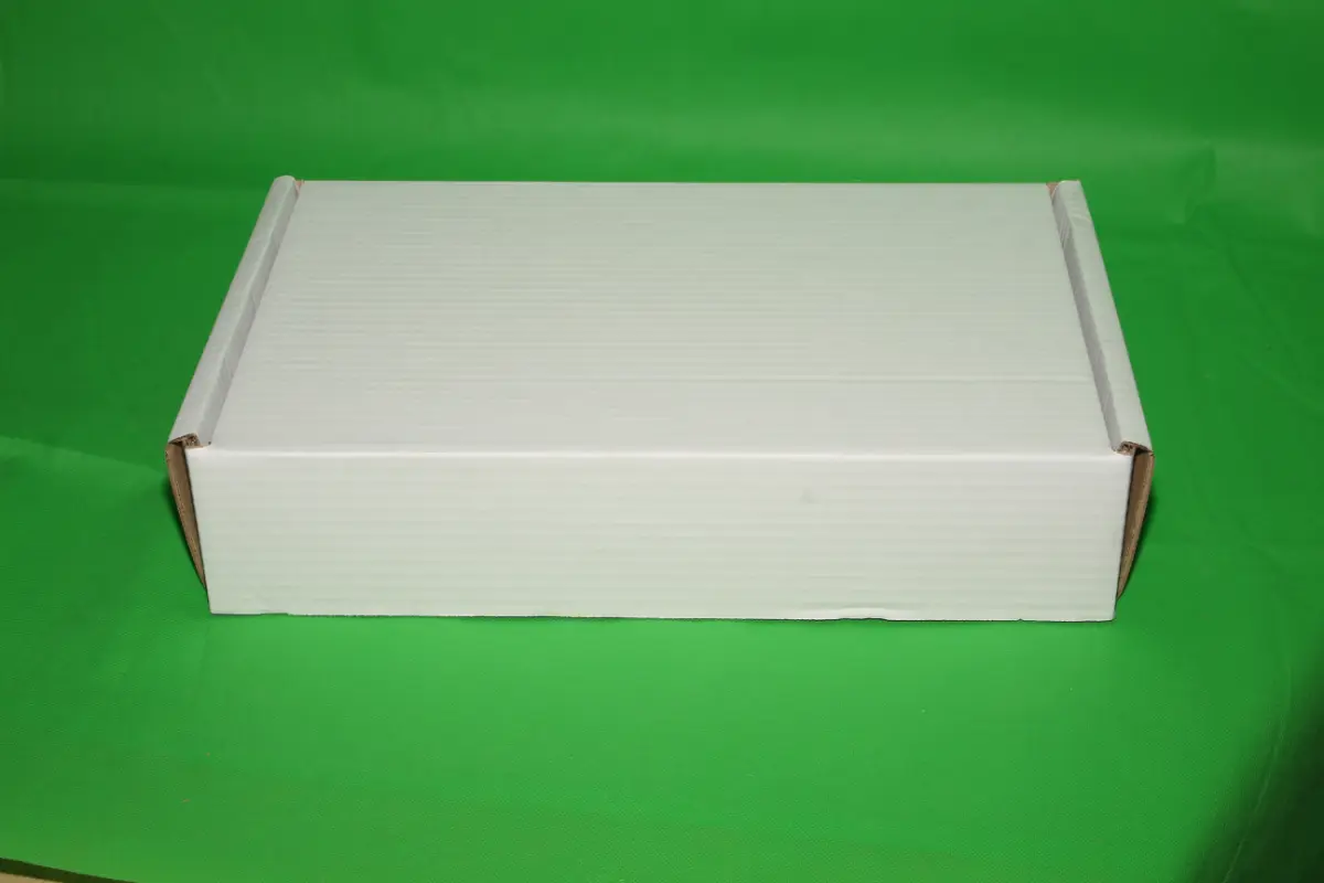 Caja Estuche Blanca 5 KG AA
