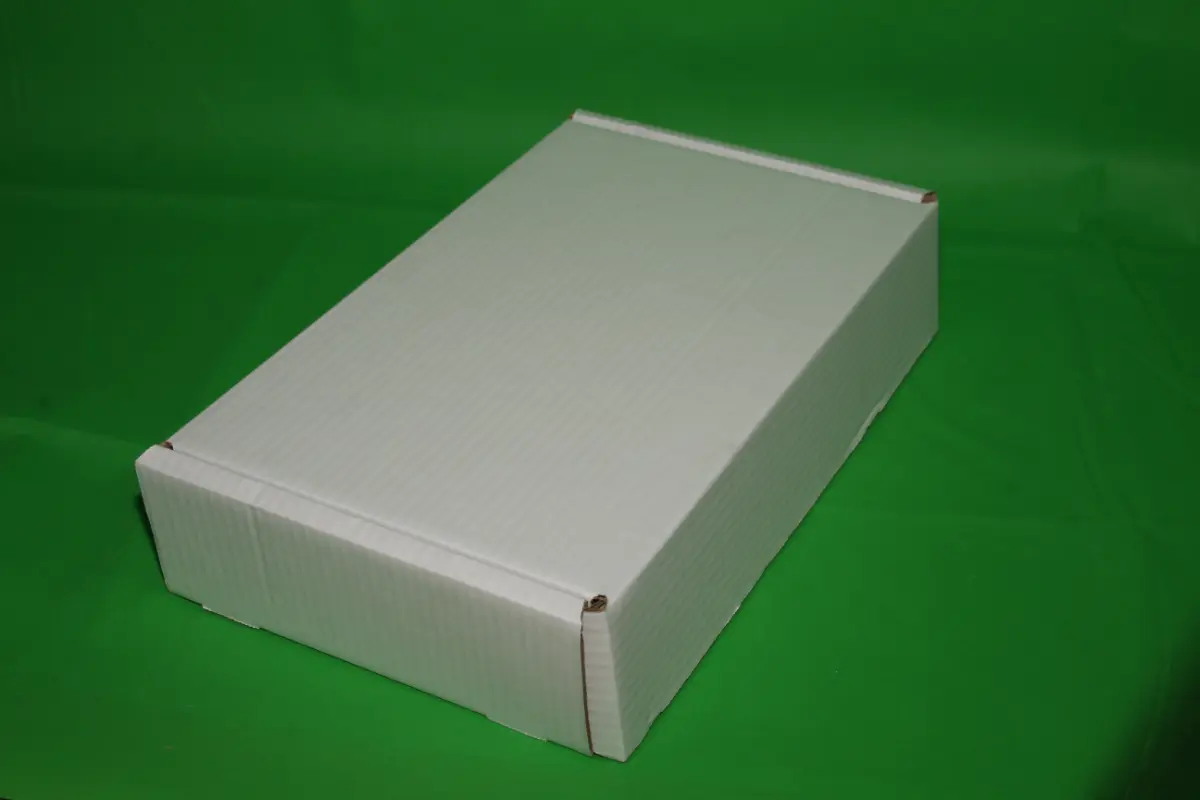 Caja Estuche Blanca 5 KG AA — imagen 3