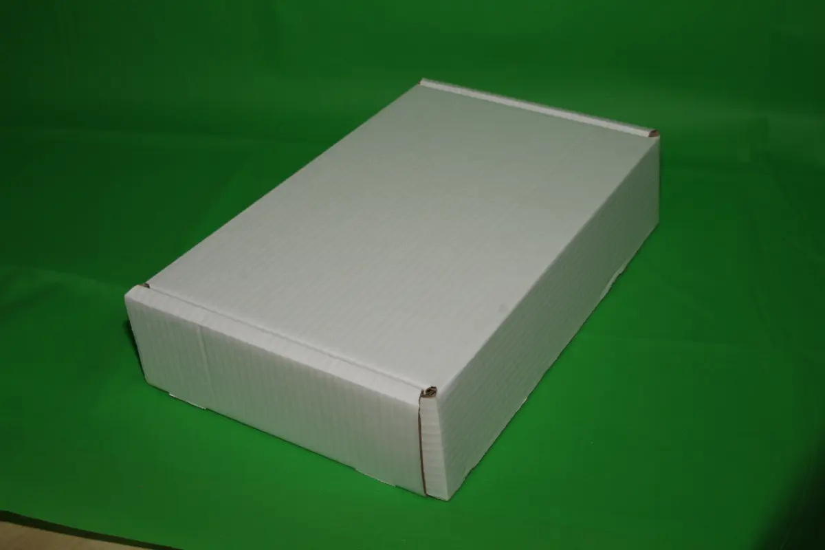 Caja Estuche Blanca 5 KG AA — imagen 4