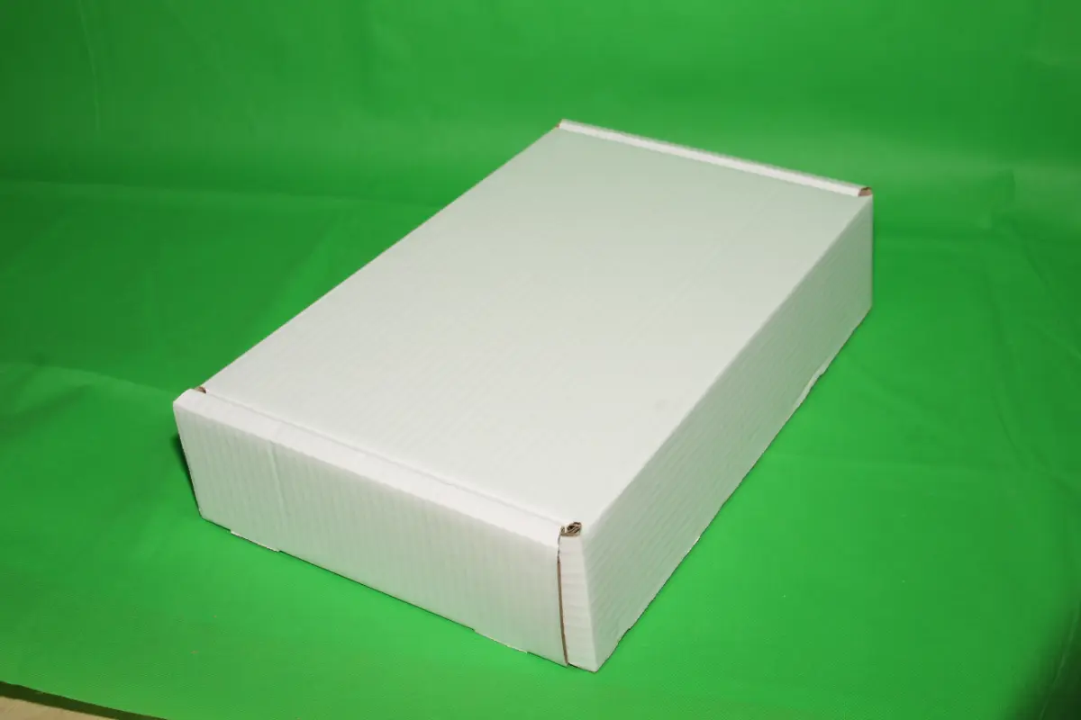 Caja Estuche Blanca 5 KG AA — imagen 5