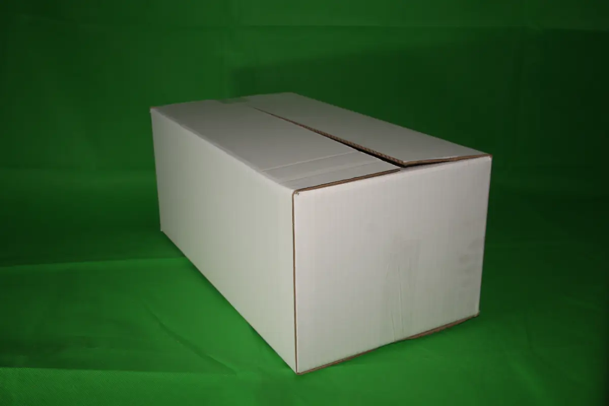 Caja Fish 3 Block 22,5 KG — imagen 5