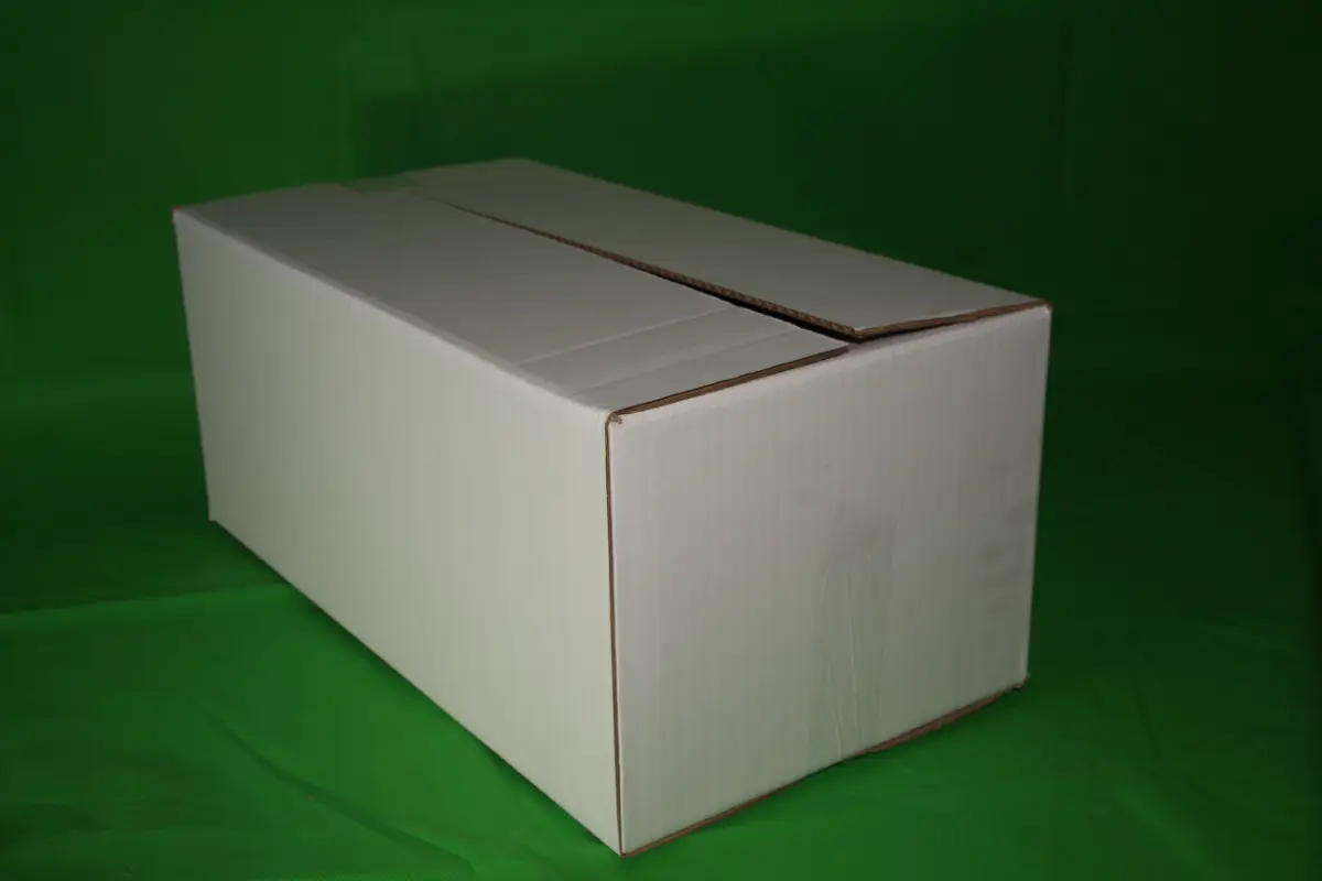 Caja Fish 3 Block 22,5 KG — imagen 6