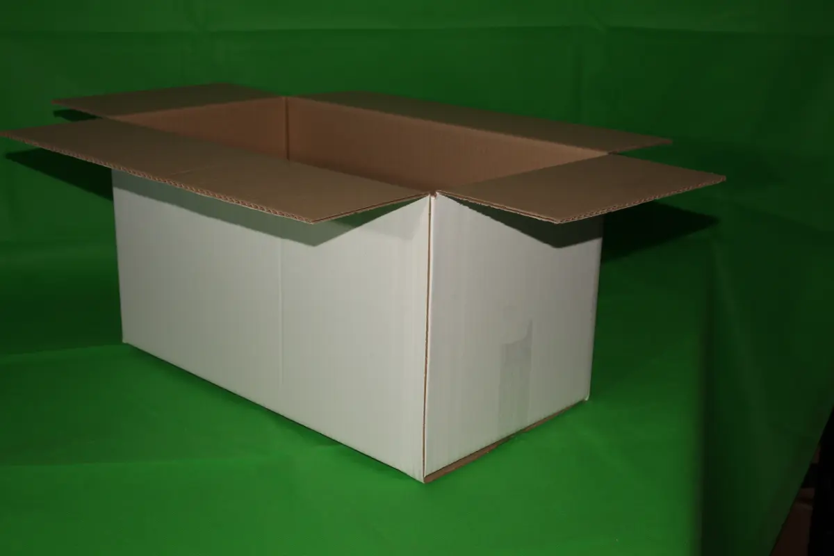 Caja Fish 4 Block 30 KG