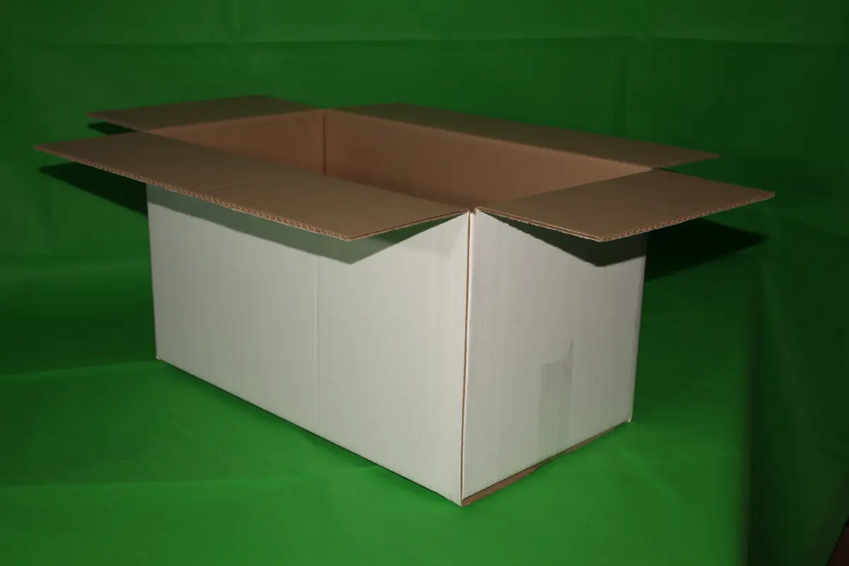 Caja Fish 4 Block 30 KG — imagen 2
