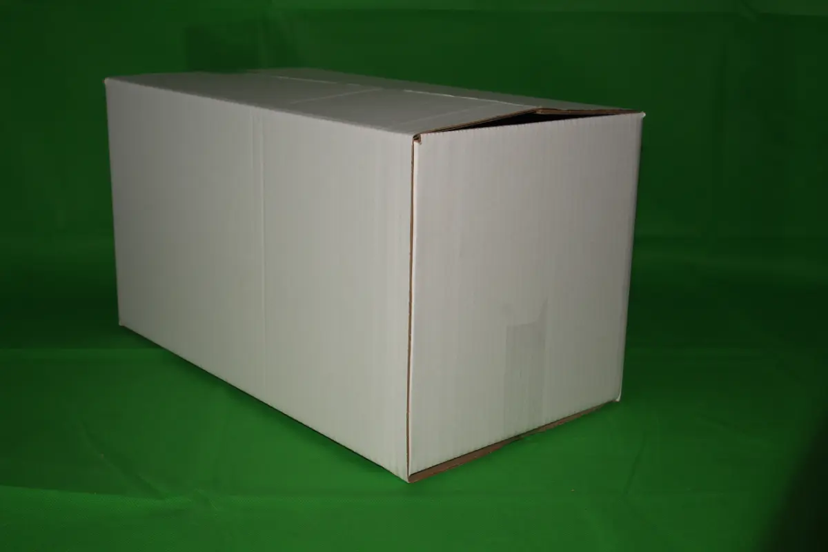 Caja Fish 4 Block 30 KG — imagen 3