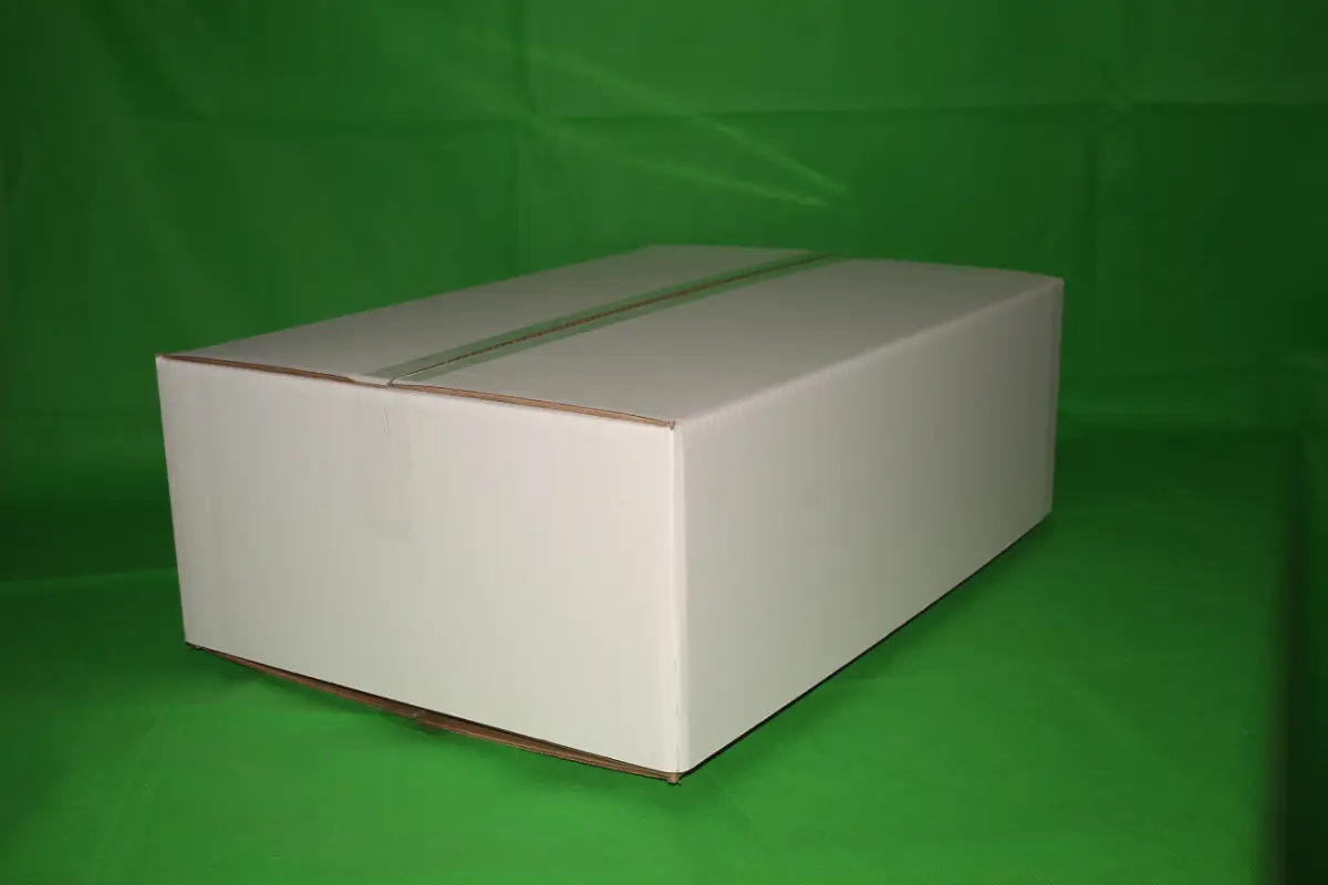 Tapa Blanca Master Telescópica — imagen 2