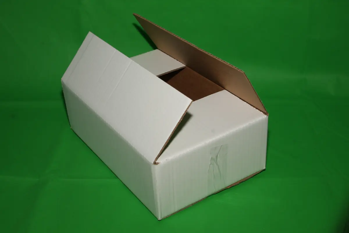 Blanca Porciones 5 KG
