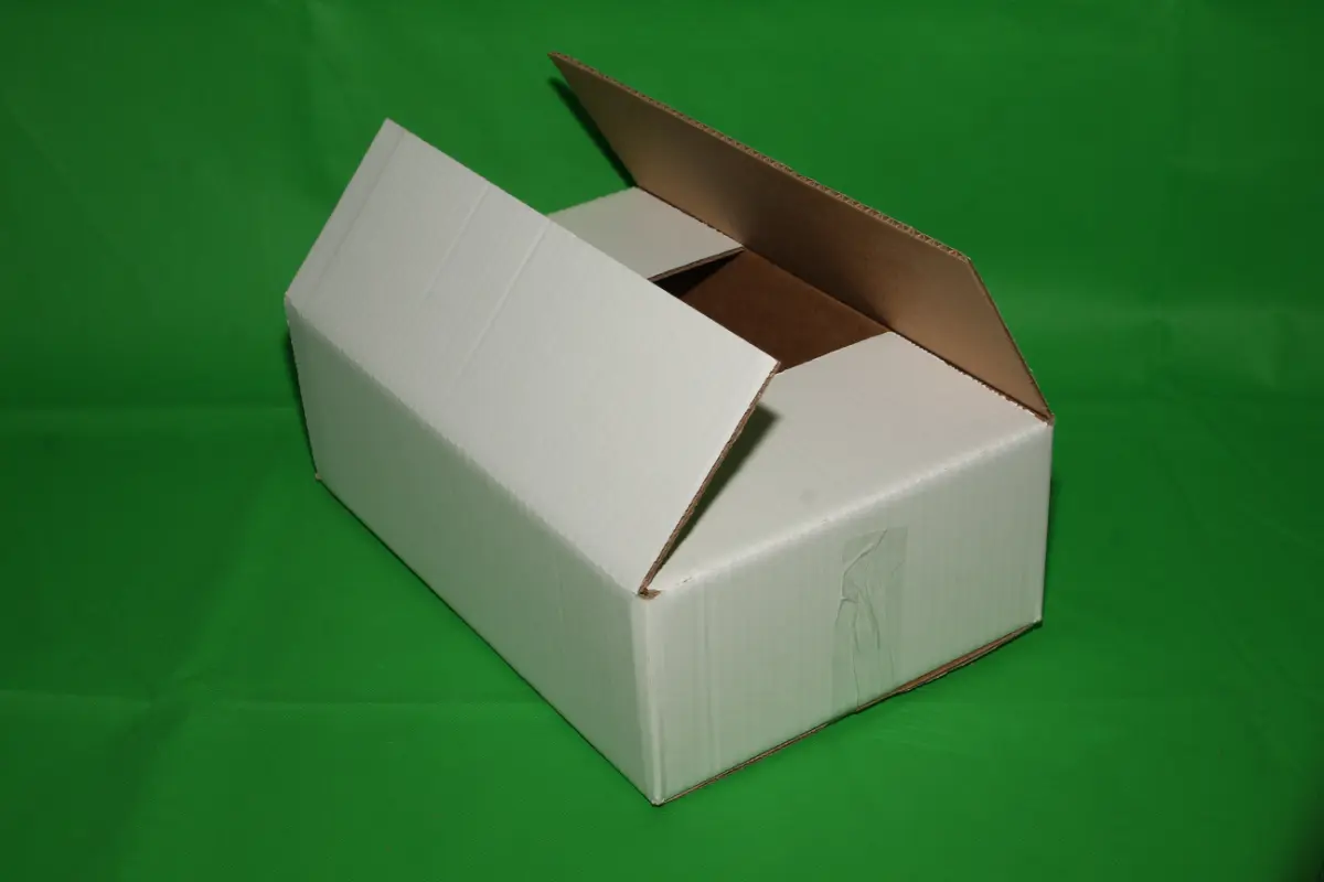 Blanca Porciones 5 KG — imagen 2