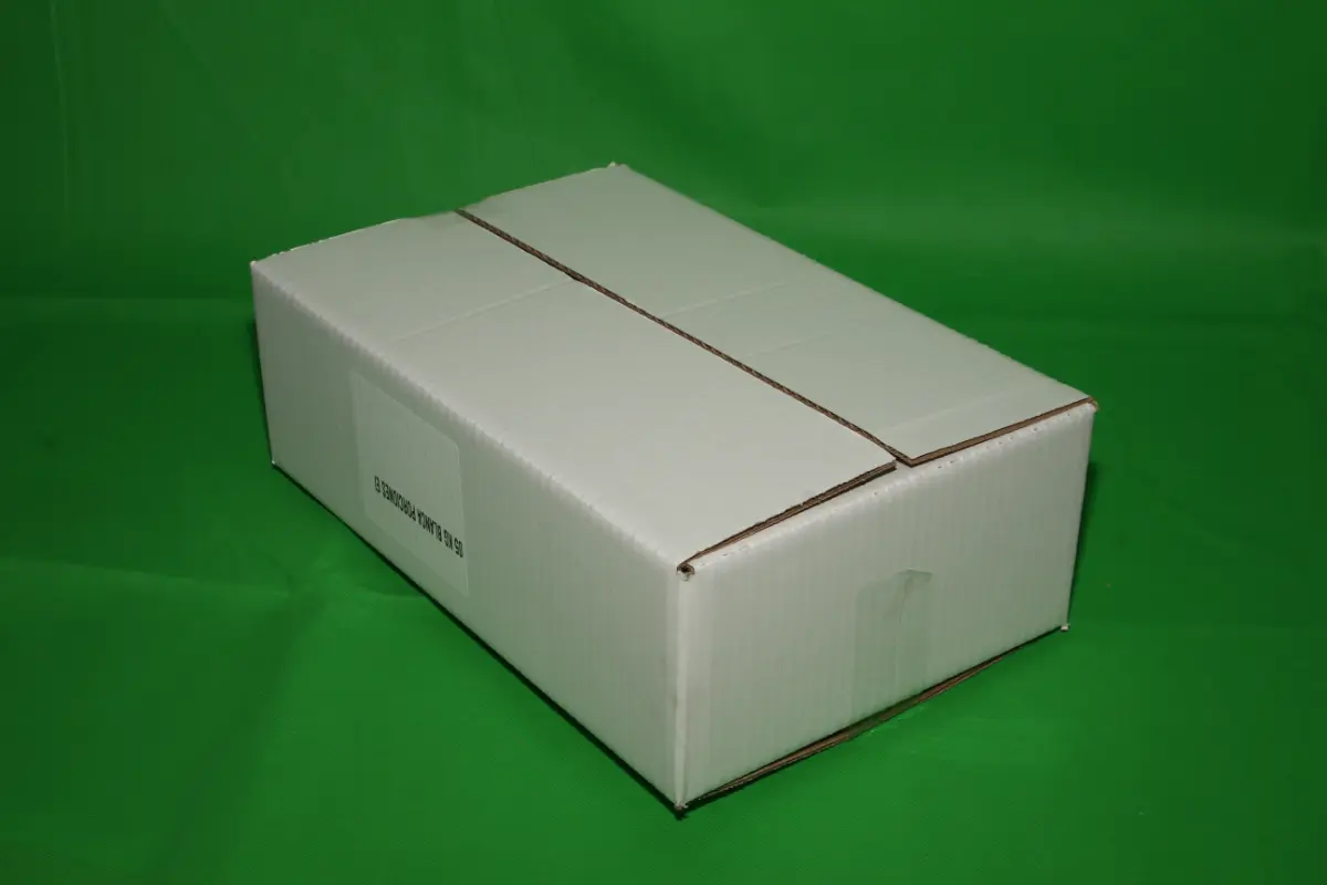 Blanca Porciones 5 KG — imagen 3