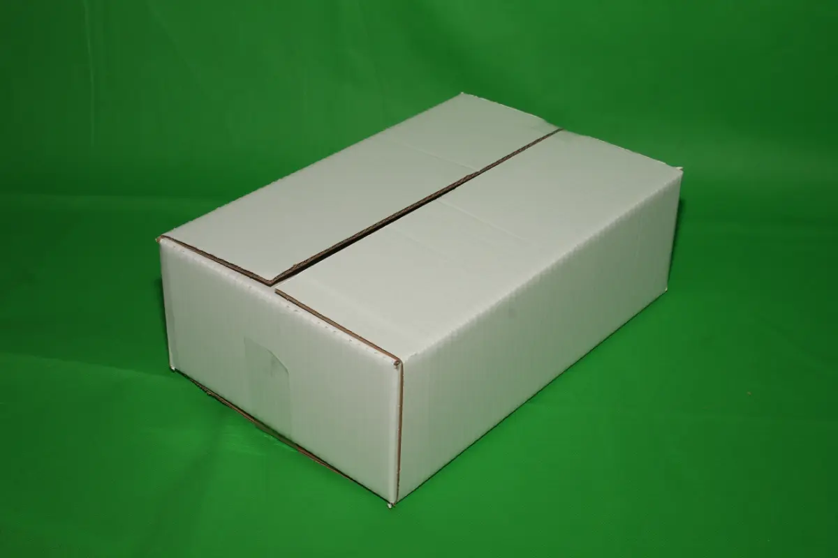 Blanca Porciones 5 KG — imagen 4