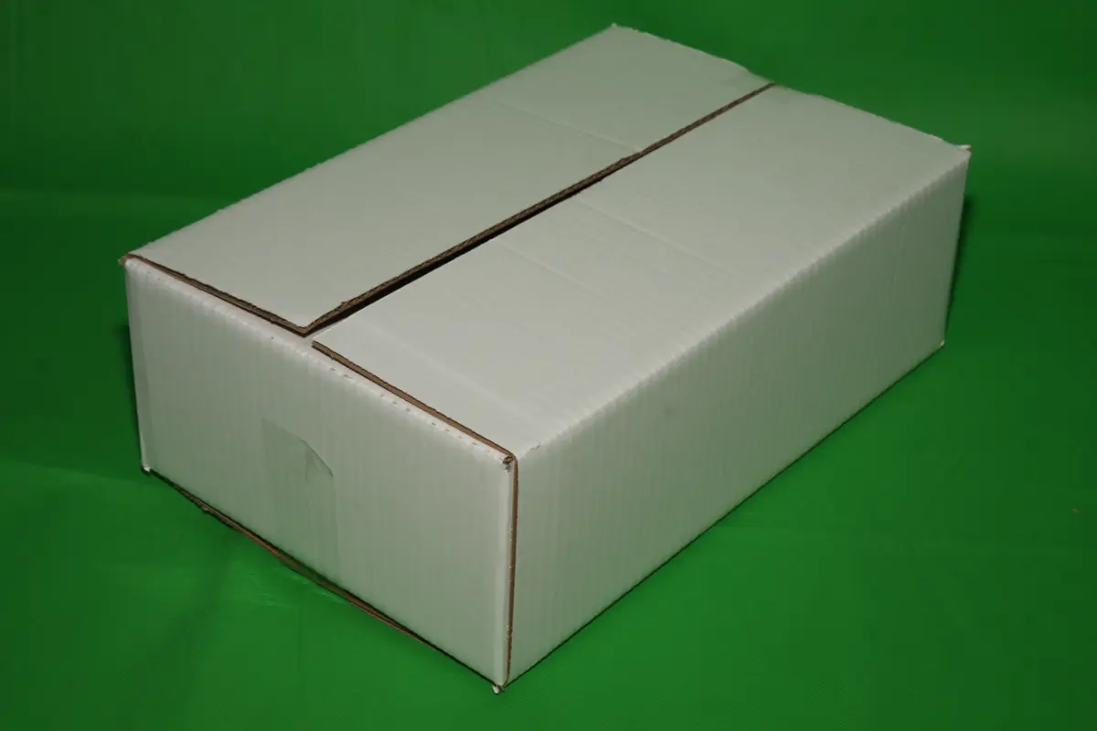 Blanca Porciones 5 KG — imagen 5