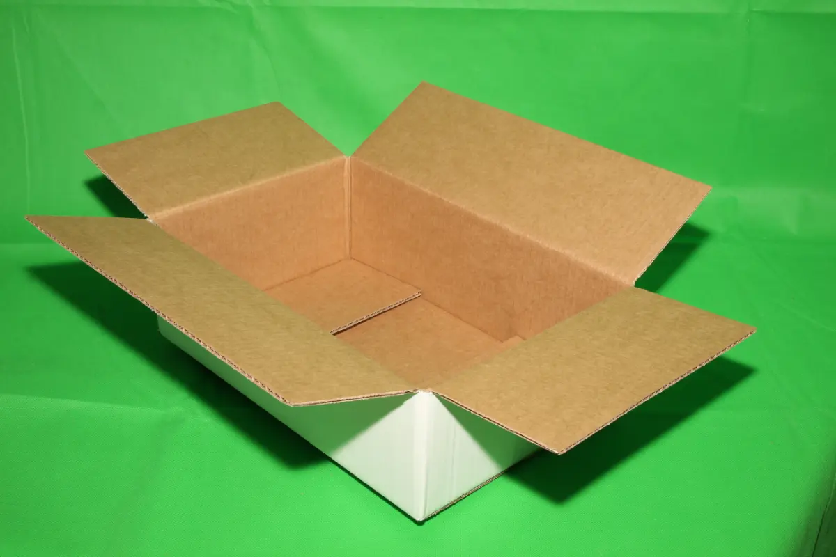 Caja Blanca 10 Libras