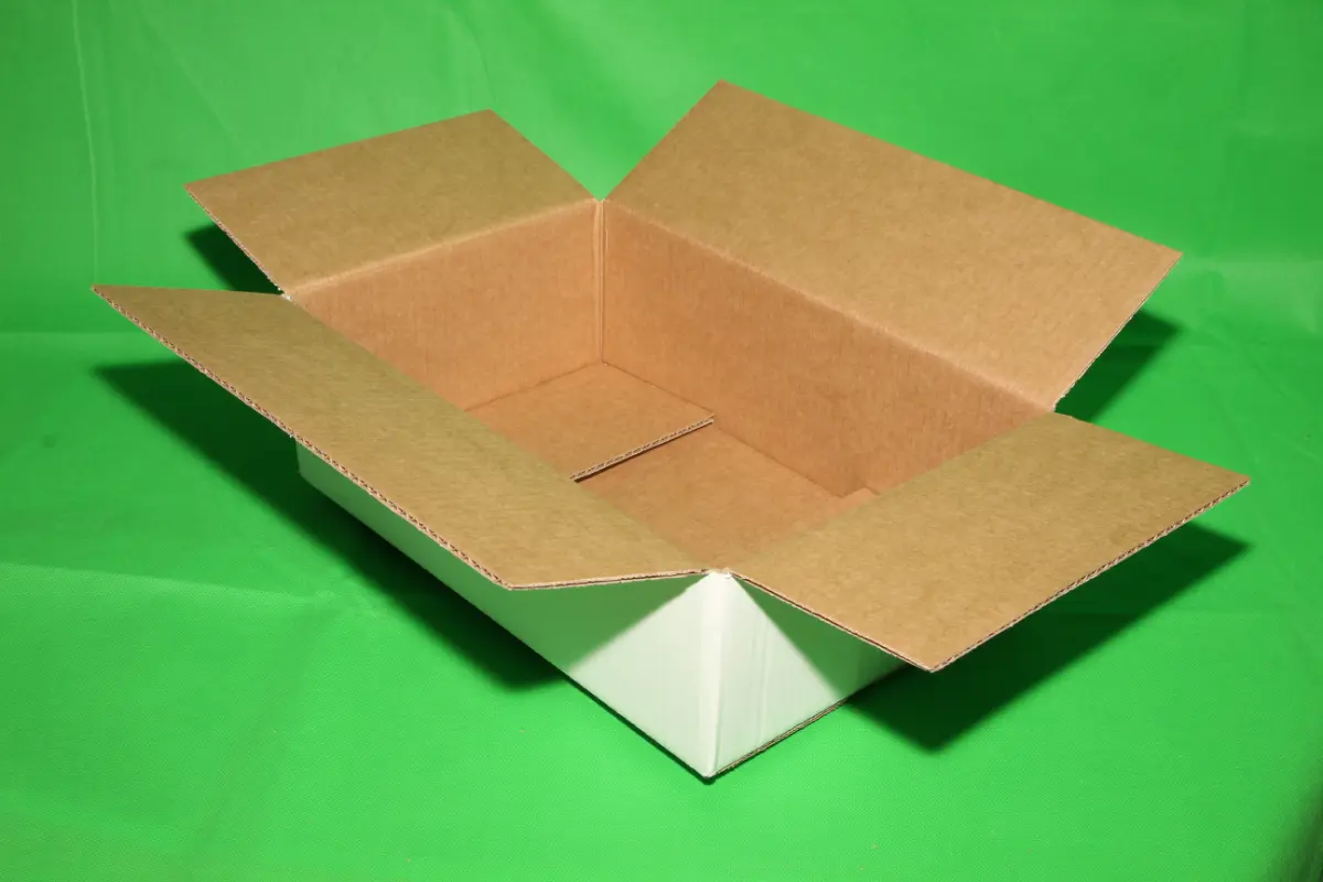 Caja Blanca 10 Libras — imagen 2