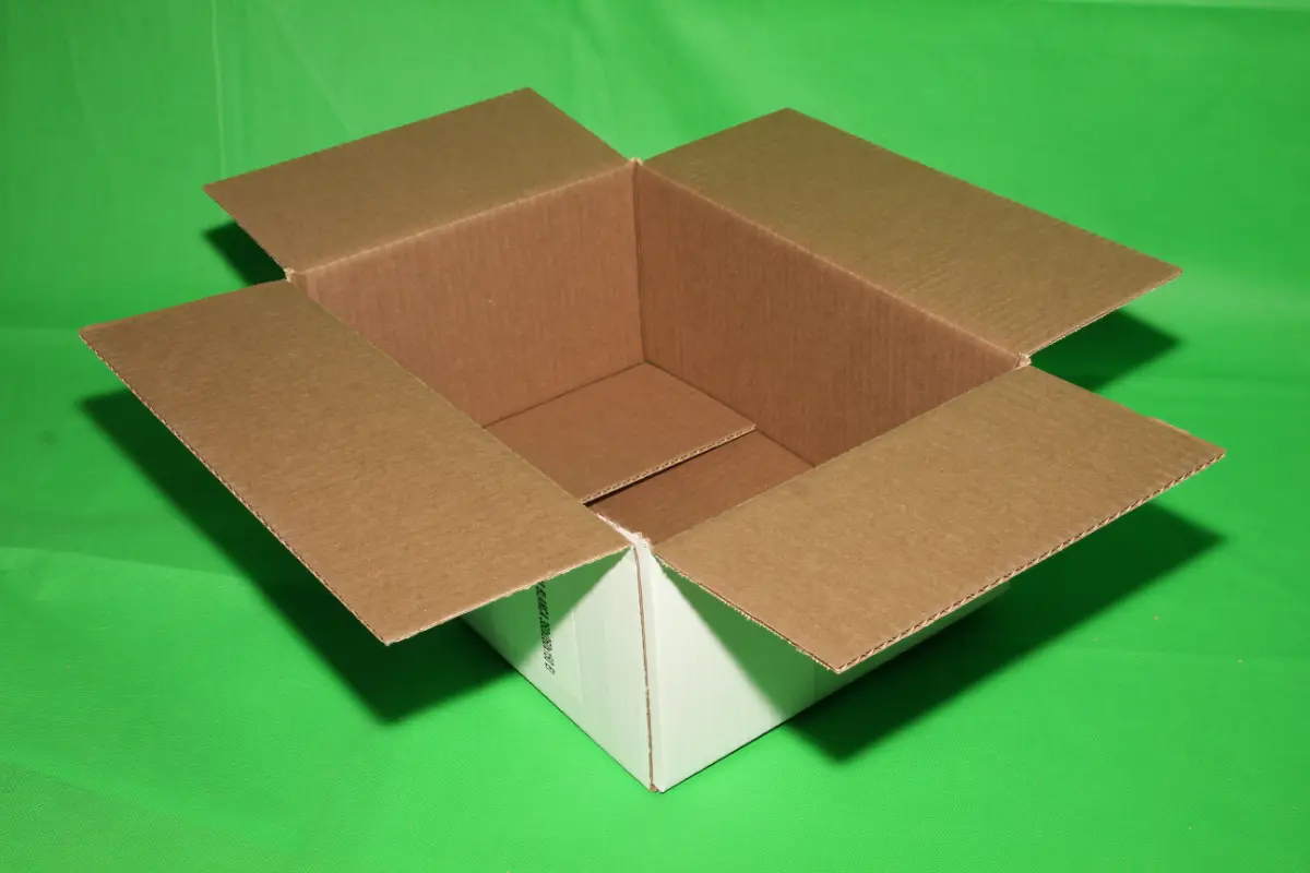 Caja Blanca 10 Libras — imagen 3