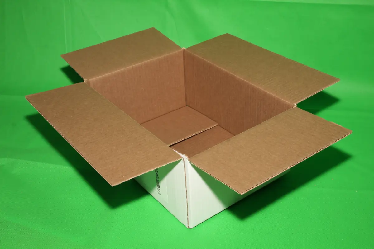 Caja Blanca 10 Libras — imagen 4