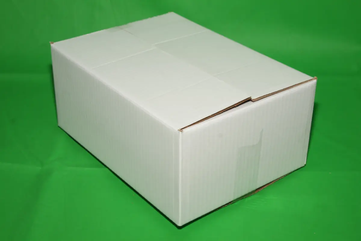 Caja Blanca 10 Libras — imagen 6