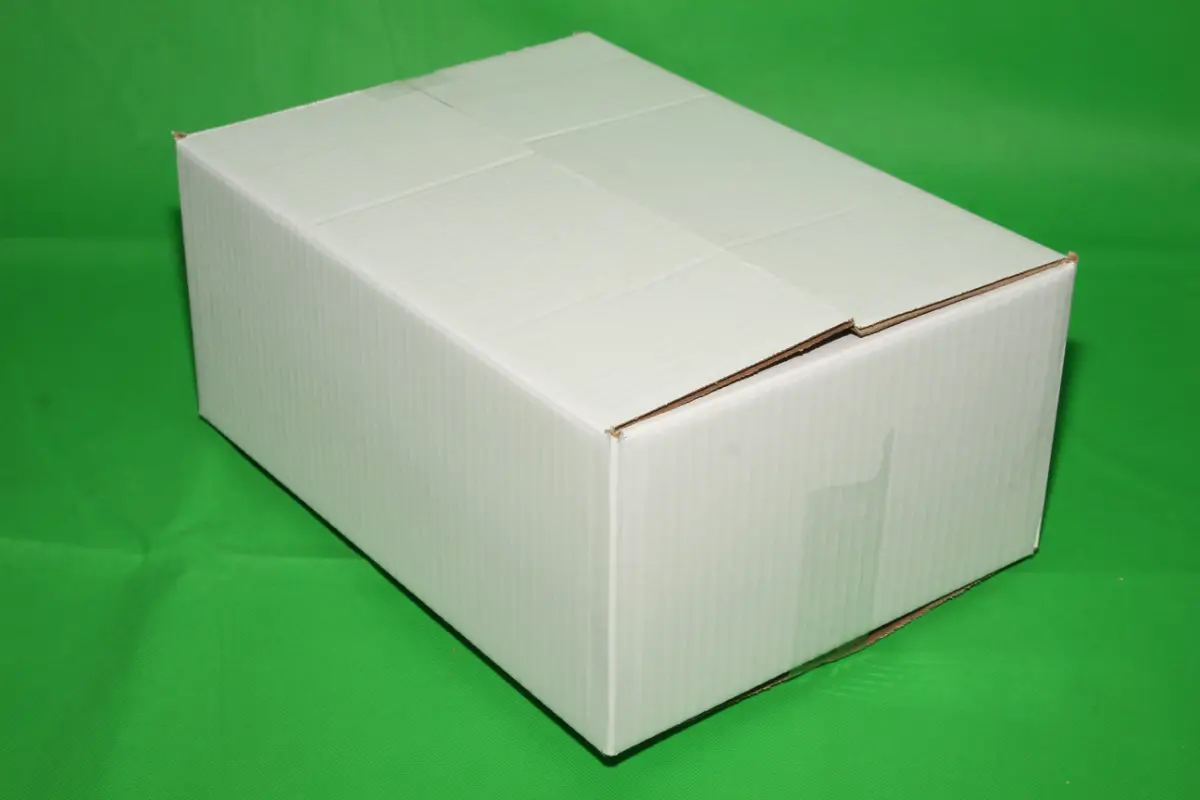 Caja Blanca 10 Libras — imagen 7