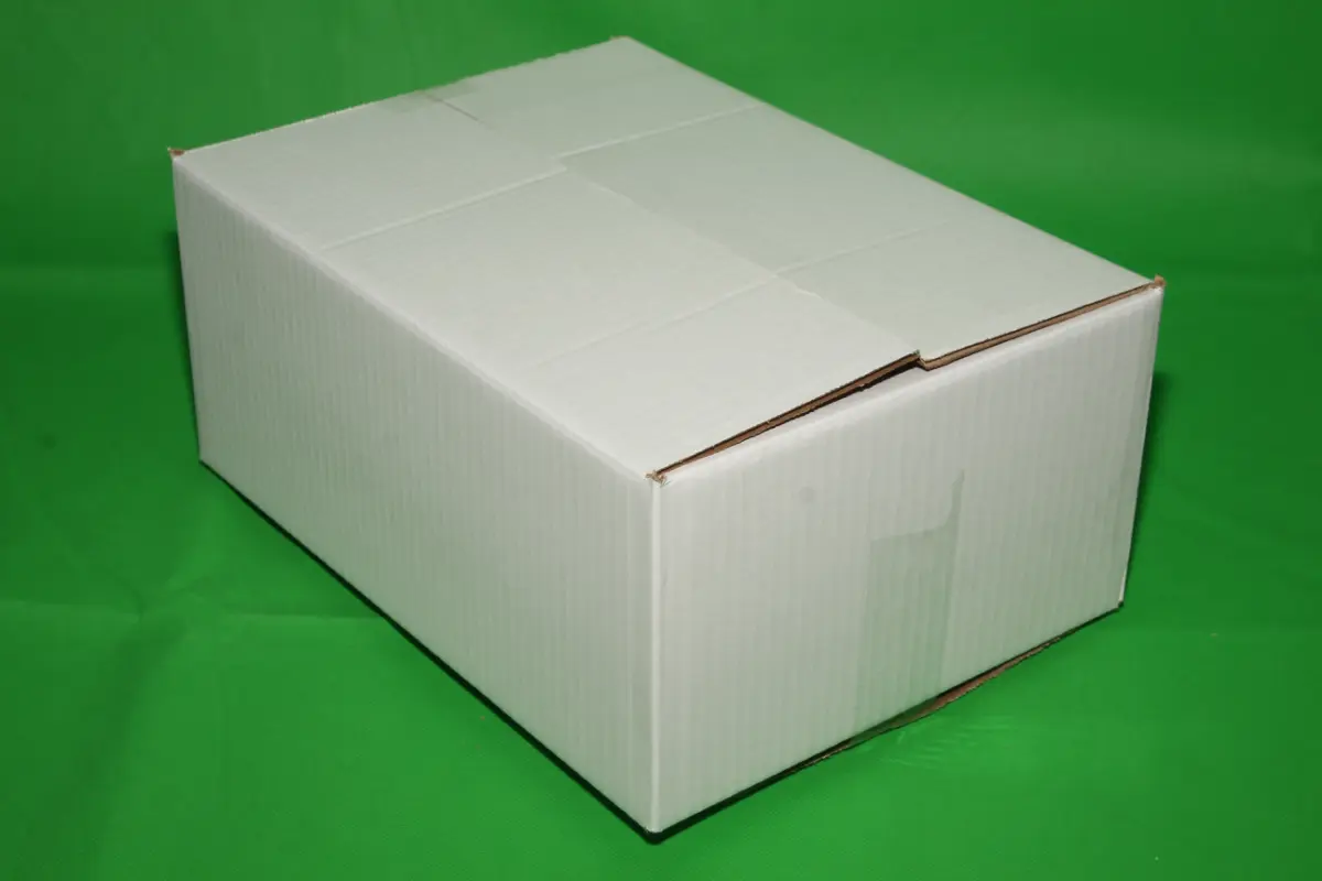 Caja Blanca 10 Libras — imagen 8