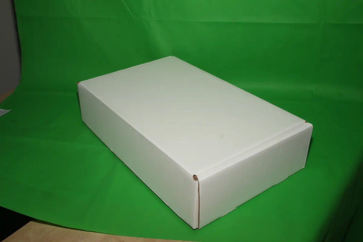 Caja Estuche Blanca 10 KG AA