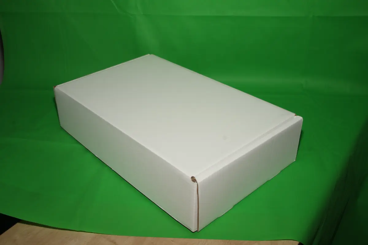 Caja Estuche Blanca 10 KG AA — imagen 2