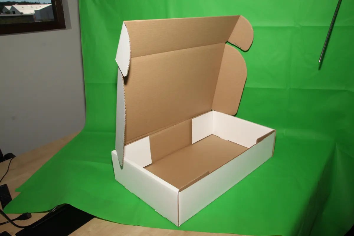 Caja Estuche Blanca 10 KG AA — imagen 4