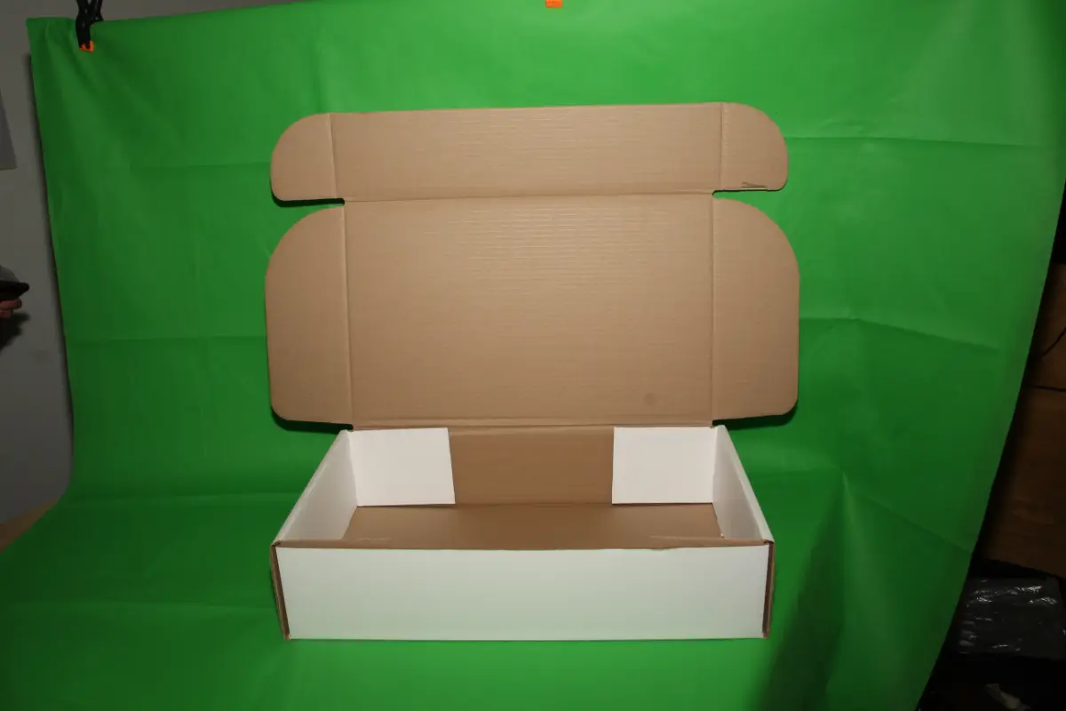Caja Estuche Blanca 10 KG AA — imagen 6