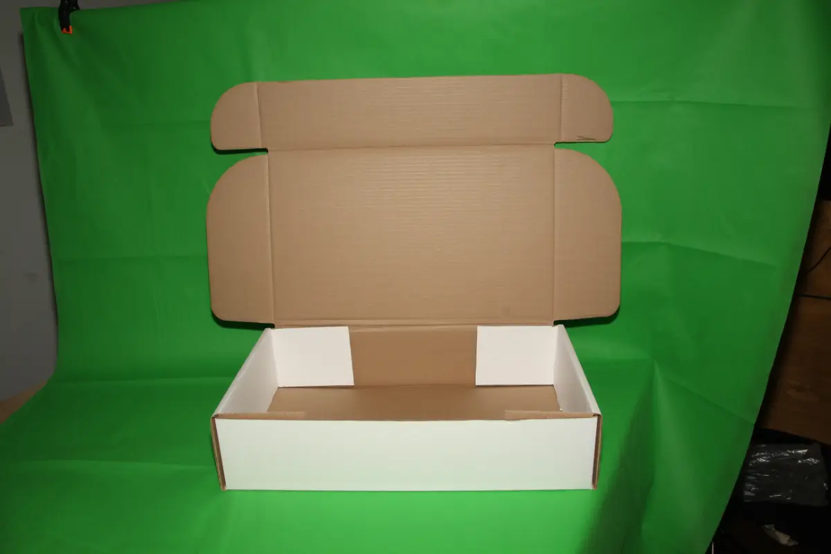 Caja Estuche Blanca 10 KG AA — imagen 7